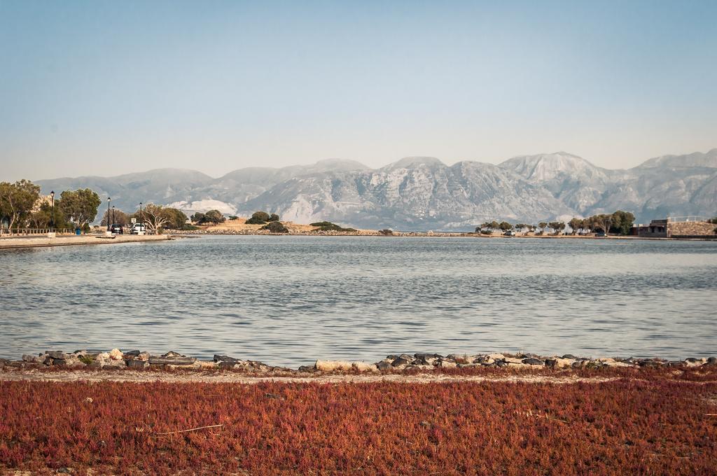 Elounda Olive Garden Apts & Studios Ngoại thất bức ảnh