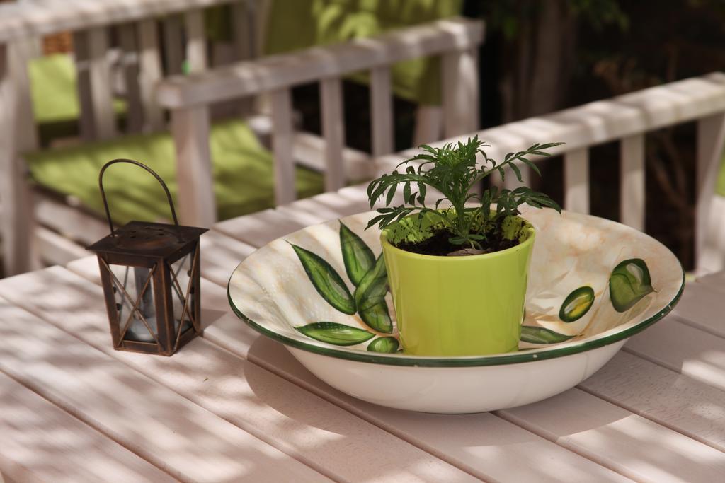 Elounda Olive Garden Apts & Studios Ngoại thất bức ảnh