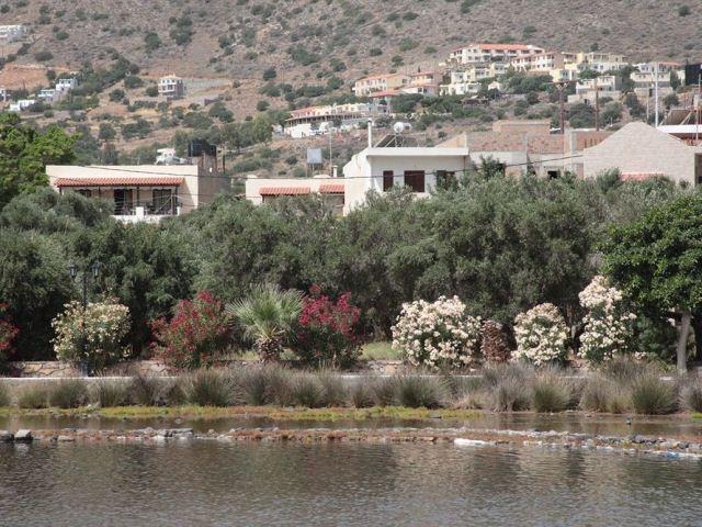 Elounda Olive Garden Apts & Studios Ngoại thất bức ảnh