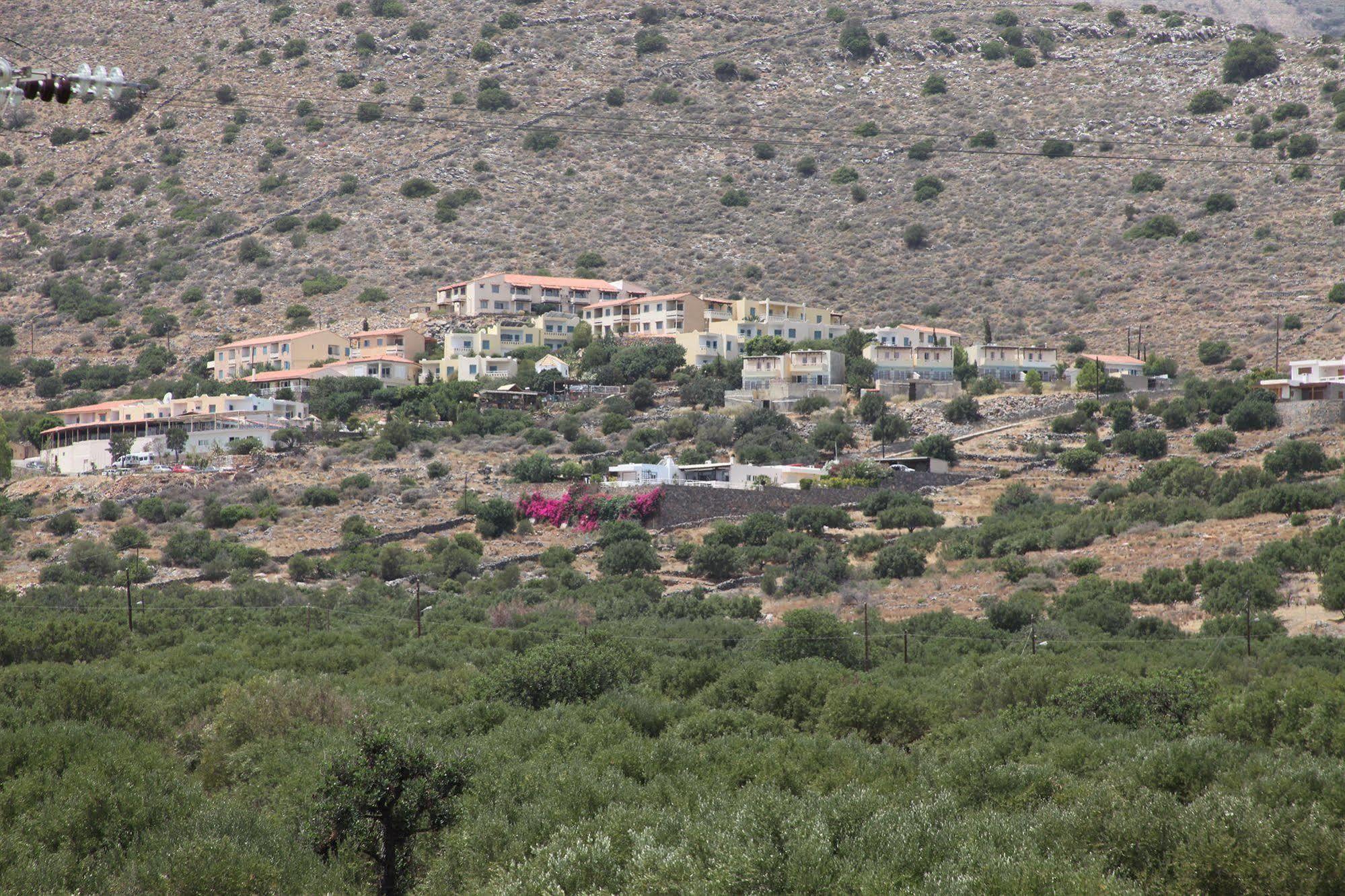 Elounda Olive Garden Apts & Studios Ngoại thất bức ảnh